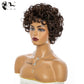 Synthetic Omber Brown Glueless Cosplay Wigs XISHIXIU Short Hair Curly Wigs With Bangs For White  Women African  High Temperature