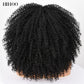 16&#39;&#39;Short Hair Afro Kinky Curly Wig With Bangs For Black Women Cosplay Lolita Synthetic Natural Glueless Brown Mixed Blonde Wigs