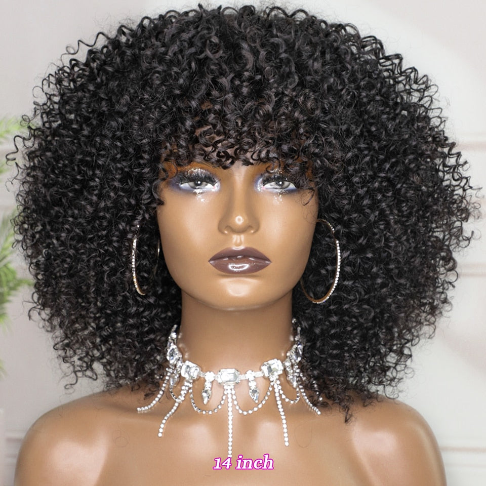 Short Curly Wig With Bangs Human Hair Afro Kinky Curly Wig Highlight Glueless Full Machine Made Wig 250 Density Remy Brazilian