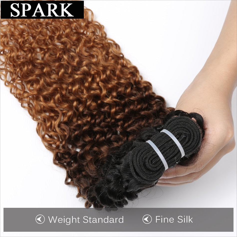 Ombre SPARK Brazilian Human Hair Weave Bundles With Closure Afro Kinky Curly Hair With Closure Remy Human Hair Extensions Black