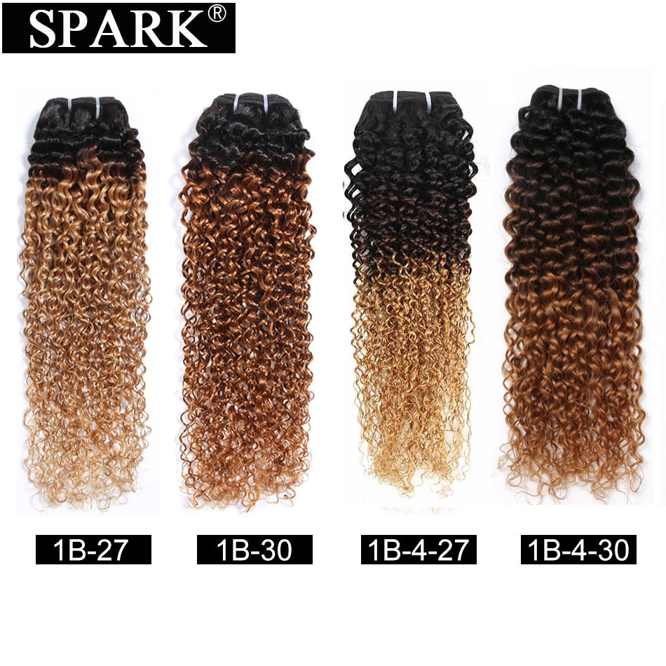 Ombre SPARK Brazilian Human Hair Weave Bundles With Closure Afro Kinky Curly Hair With Closure Remy Human Hair Extensions Black